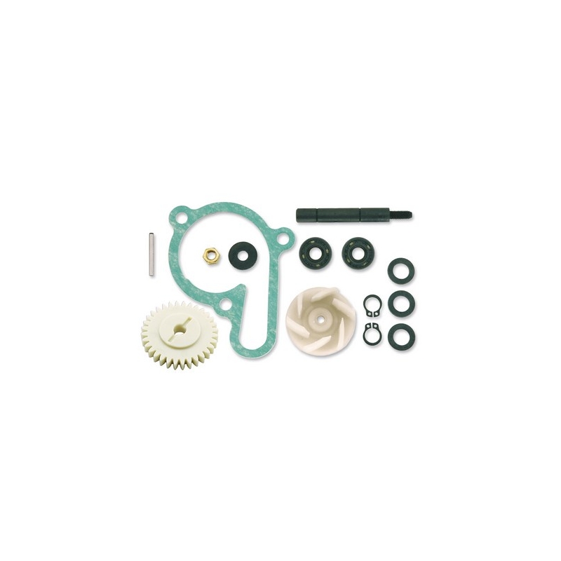 Kit de reparación de bomba de agua Vicma 11420 liquidación