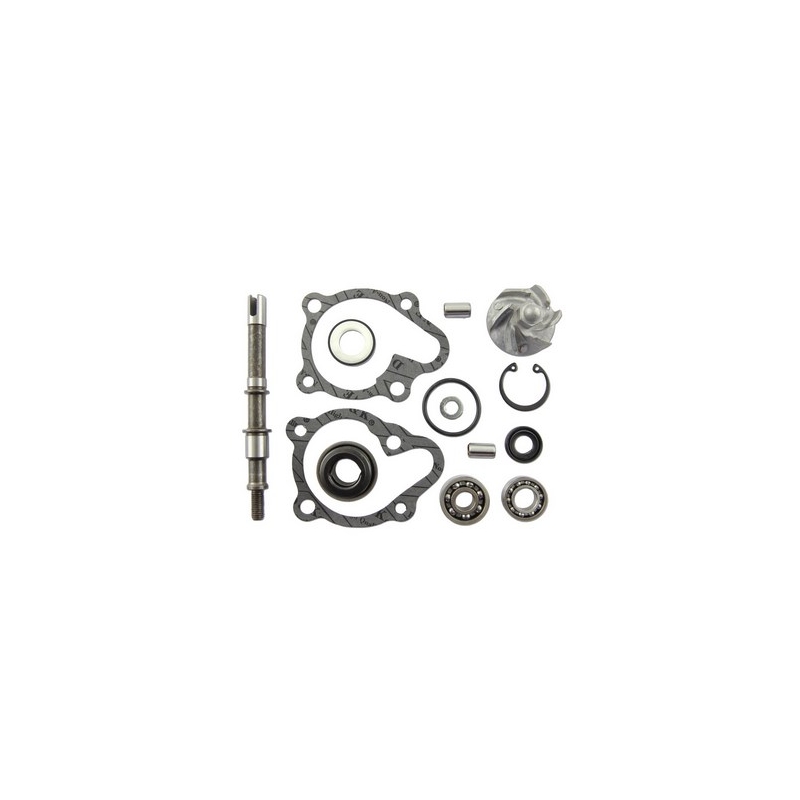 Kit de reparación de bomba de agua Vicma 11625