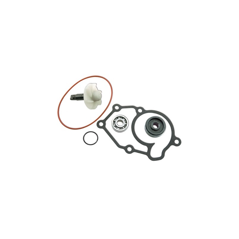 Kit de reparación de bomba de agua Vicma 13978