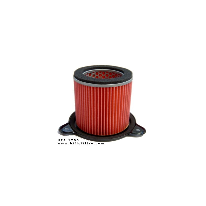 Filtro de aire Hiflofiltro HFA1705