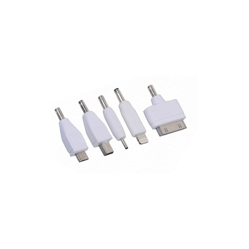 Cargador de teléfono 12V 2,1A (iPhone 4/5/6, micro USB, Nokia)