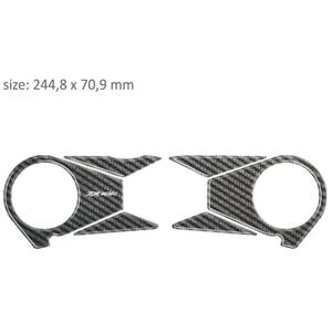 Gafas Carbono Print - Kawasaki ZX 10R (06-10) liquidación