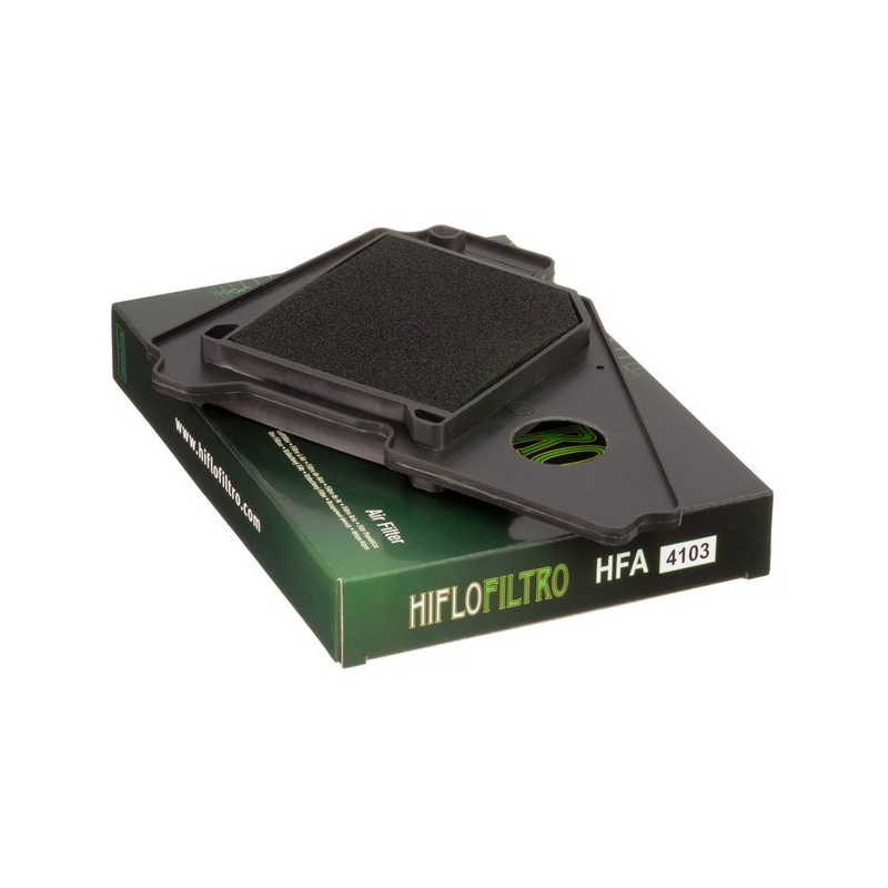 Filtro de aire Hiflofiltro HFA4103
