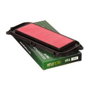 Filtro de aire Hiflofiltro HFA5003