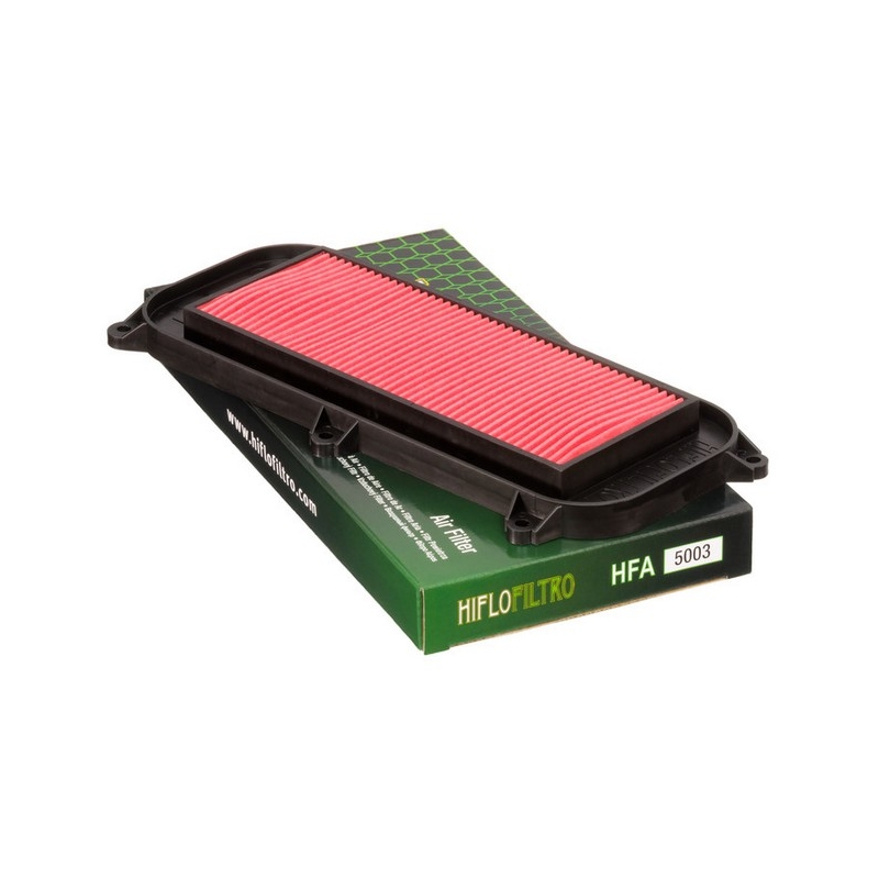 Filtro de aire Hiflofiltro HFA5003