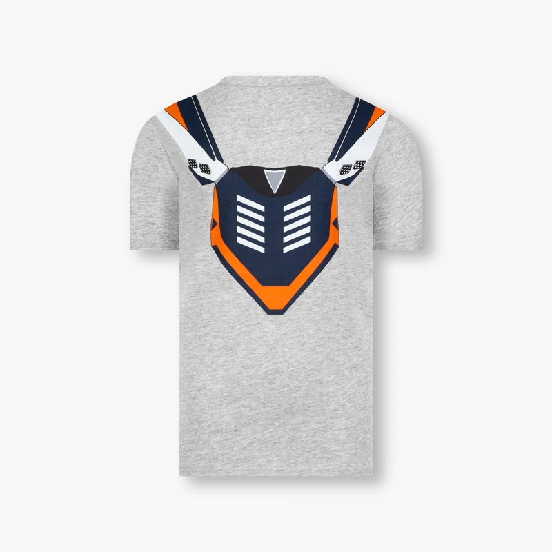 Camiseta niño KTM Rock Solid Red Bull gris liquidación