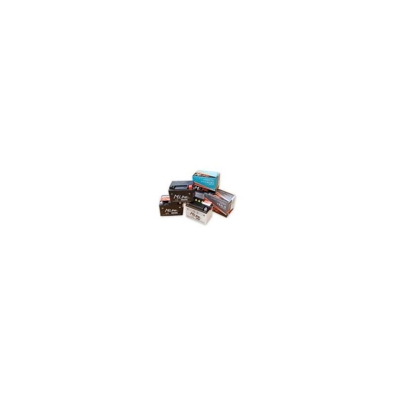 Baterie standard M-Line YB12AL-A2