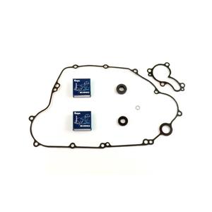 Těsnění vodní pumpy sada ATHENA