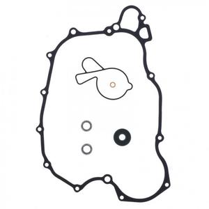 Těsnění vodní pumpy sada ATHENA with bearings