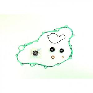 Těsnění vodní pumpy sada ATHENA with bearings