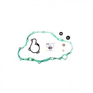 Těsnění vodní pumpy sada ATHENA with bearings