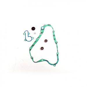 Těsnění vodní pumpy sada ATHENA with bearings