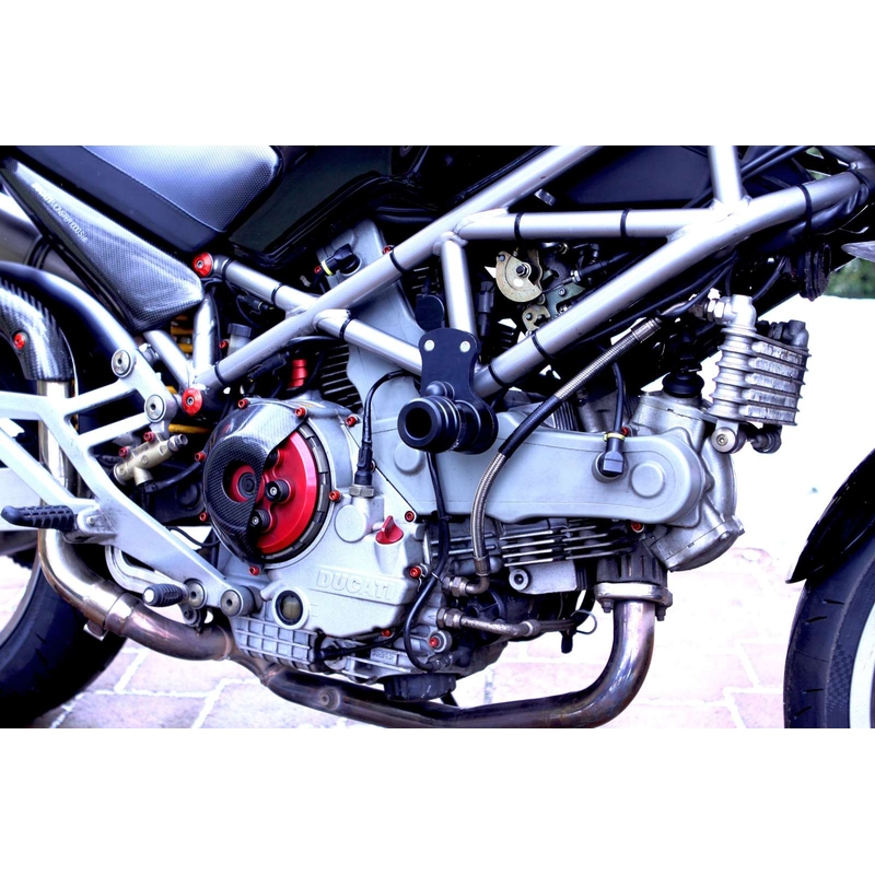 Ducati Monster 600/900 Flecha