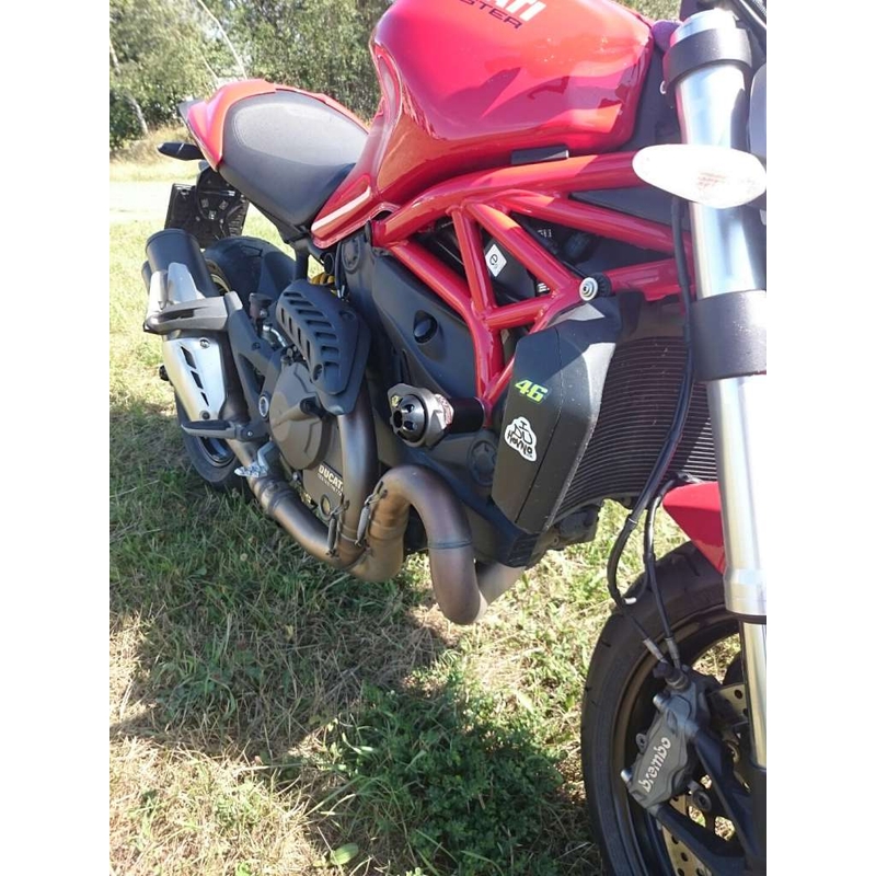 Ducati Monster 821/ 1200 Flecha