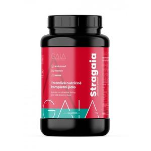 Comida instantánea GAIA Stragaia 1 kg fresa
