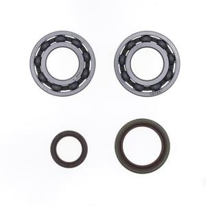 Crankshaft Rebuilding Kit ATHENA (bearing and oil seal kit)