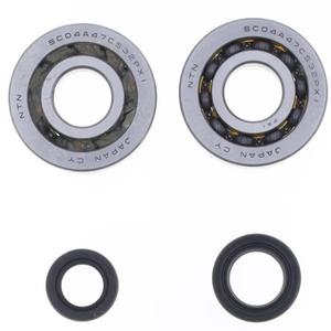 Crankshaft Rebuilding Kit ATHENA (bearing and oil seal kit)