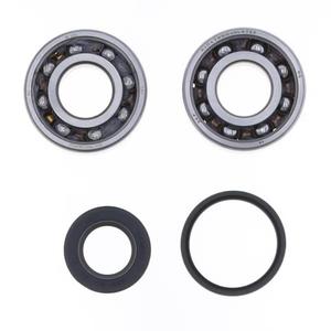 Crankshaft Rebuilding Kit ATHENA (bearing and oil seal kit)