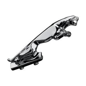 Decoración Fender Panther
