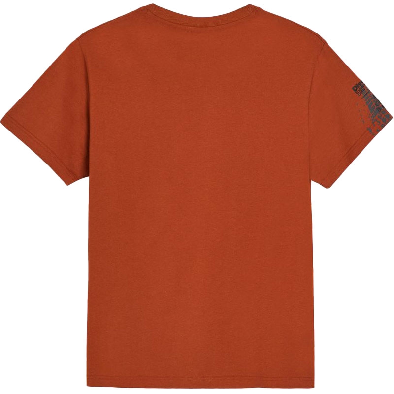 Camiseta de ladrillo Dakar DES 1225