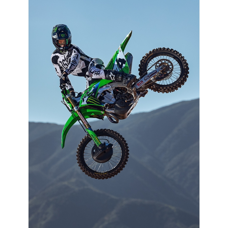Camiseta de motocross Alpinestars Techstar edición limitada Wolf Dust negro arena