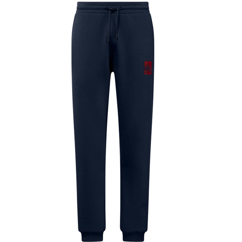 Pantalones deportivos Red Bull Racing Core azul oscuro
