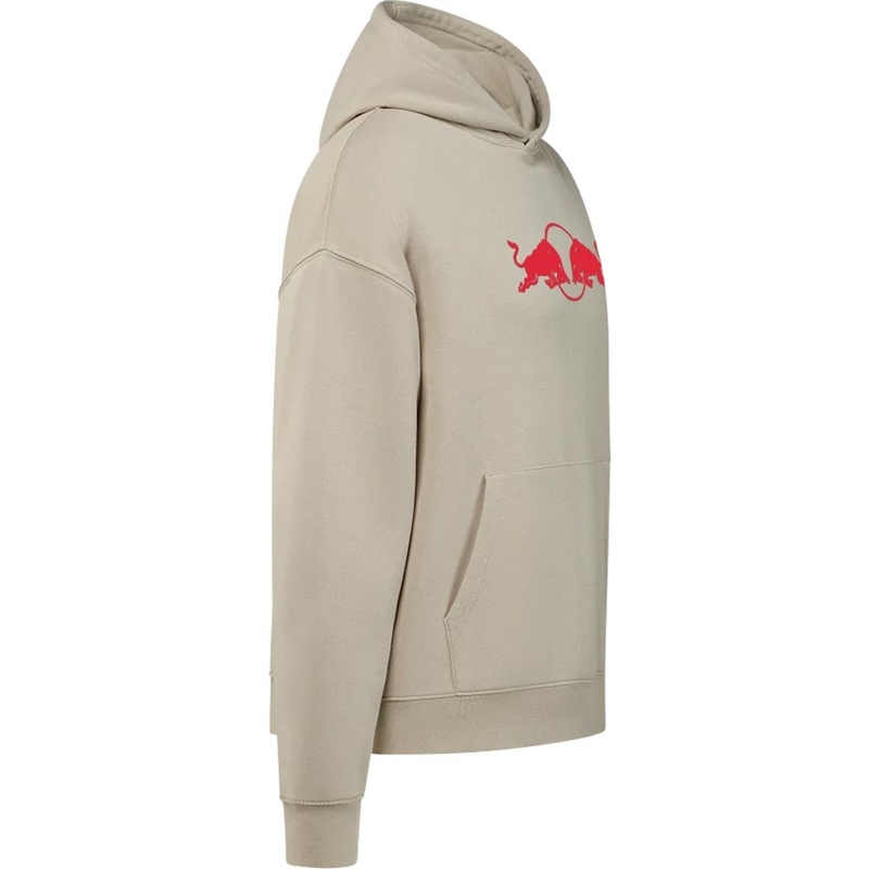 Sudadera con capucha gris Oracle Red Bull Racing Spark