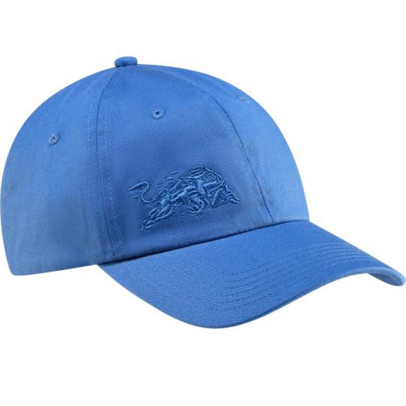 Gorra Red Bull Racing Core azul