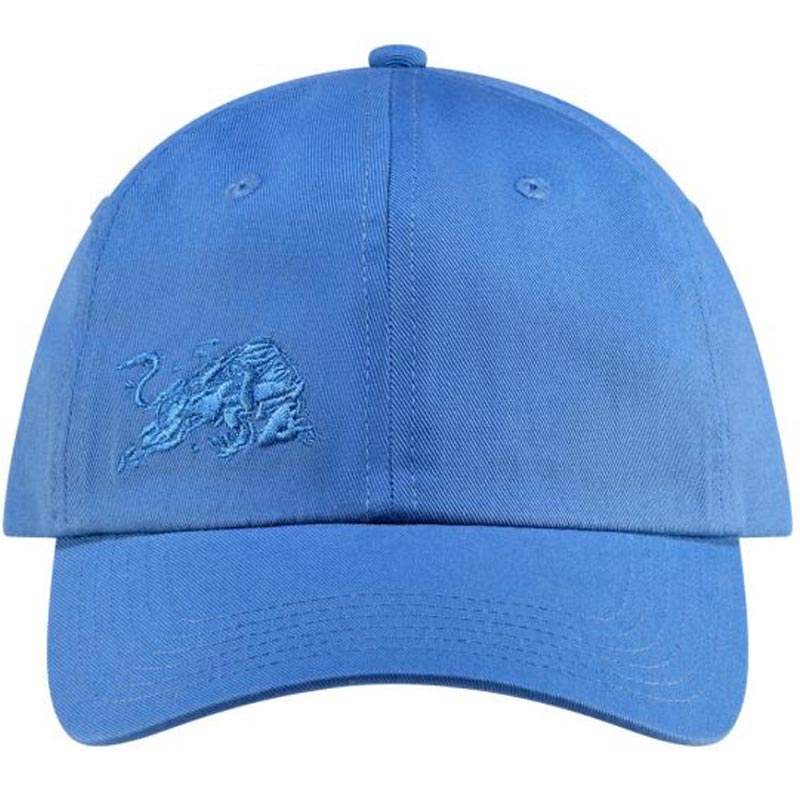 Gorra Red Bull Racing Core azul