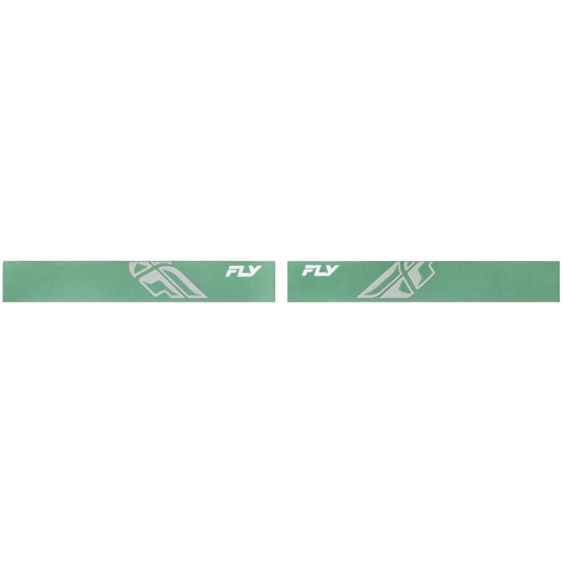 Gafas de motocross Fly Racing Focus verdes con lentes transparentes