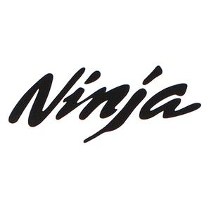 Pegatina Ninja