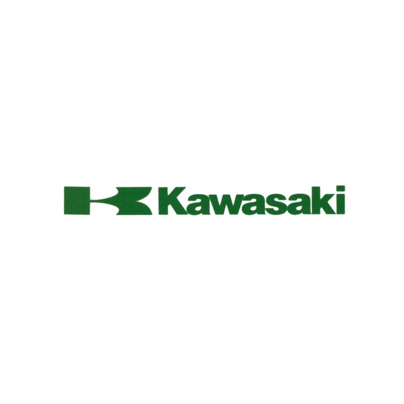 Pegatina Kawasaki verde
